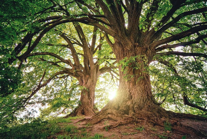 Klimaneutral Nachhaltigkeit Umwelt Recycelbar Recyclingkonzept Balance