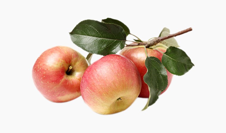 Uttwiler Spätlauber Stammzellenextrakt (Malus Domestica Fruit Cell Culture Extract) - hautpflegend, Inhaltsstoff Wirkstoff natürlich